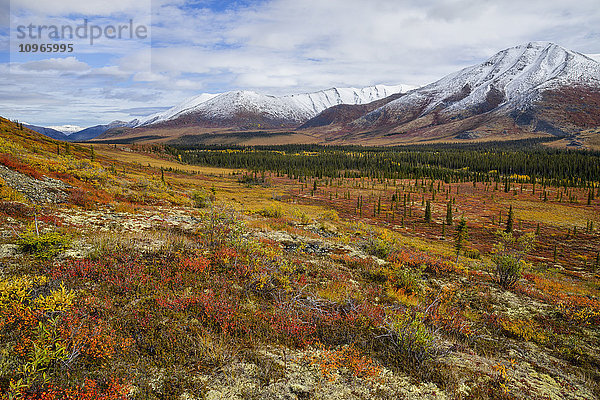 Ogilvie Mountains im Herbst entlang des Dempster Highway; Yukon  Kanada'.