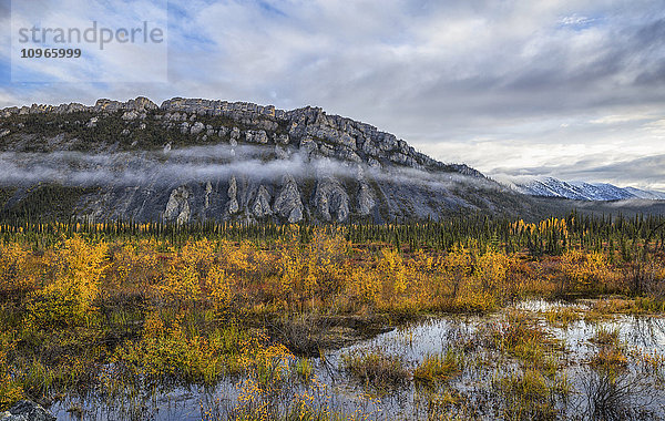 Die Kalksteinklippen von Sapper Hill im Herbst entlang des Dempster Highway; Yukon  Kanada'.