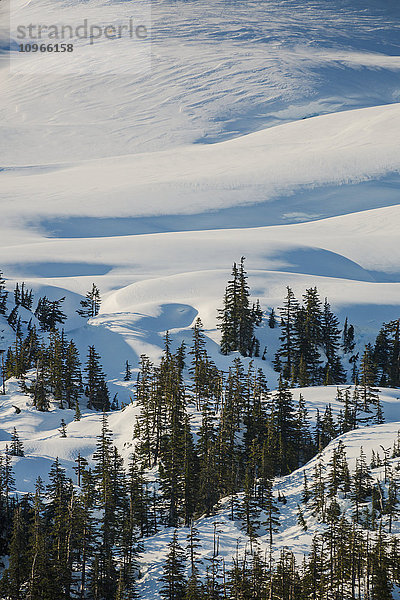 Immergrüne Bäume in einer verschneiten Landschaft hoch über der Kings Bay  Prince William Sound; Whittier  Alaska  Vereinigte Staaten von Amerika'.
