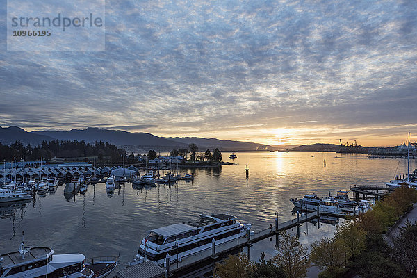 Stanley Park und Hafen bei Sonnenuntergang; Vancouver  British Columbia  Kanada'.