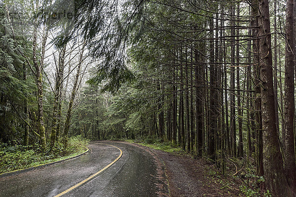 Nasse Straße durch einen Wald; British Columbia  Kanada'.