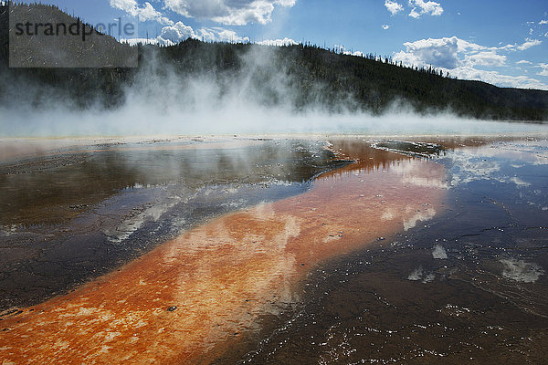 Prismatische Pools 10  Yellowstone National Park; Wyoming  Vereinigte Staaten von Amerika'.