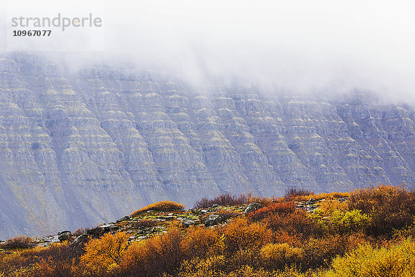 Die stufenförmigen Felswände der Westfjorde sind in Wolken und Nebel gehüllt  wenn in Island der Herbst beginnt.