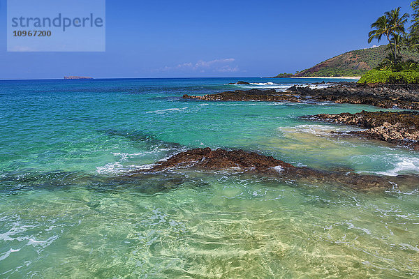 Makena Coast mit klarem Meer und Palme; Maui  Hawaii  Vereinigte Staaten von Amerika'.