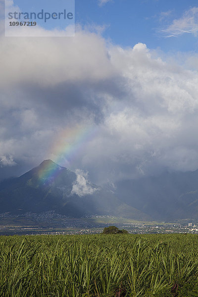 'Ein sonniger Regenbogen über Wailuku; Maui  Hawaii  Vereinigte Staaten von Amerika'.