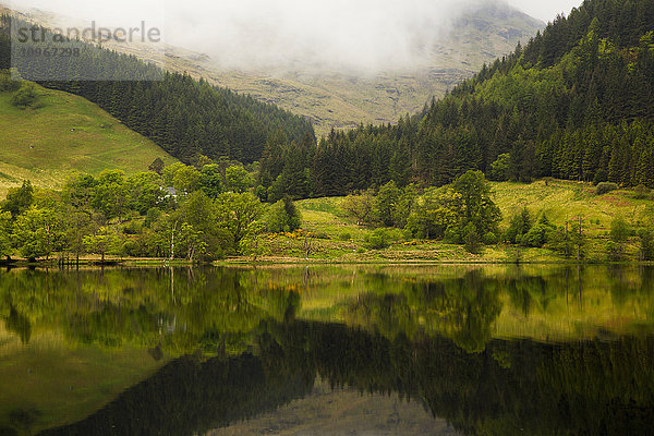 Üppige grüne Landschaft mit Gras  Bäumen und tief hängenden Wolken  deren Spiegelbild das ruhige Wasser ist; Schottland .