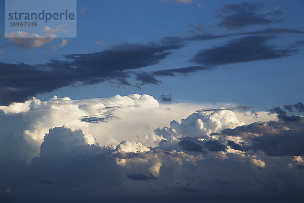 Weiße und dunkle Wolken an einem blauen Himmel; Kings Beach  Queensland  Australien