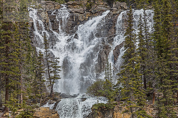Tangle Falls  Jasper National Park; Alberta  Kanada'.