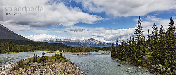 Bergblick entlang des Athabasca-Flusses  Jasper National Park; Jasper  Alberta  Kanada'.