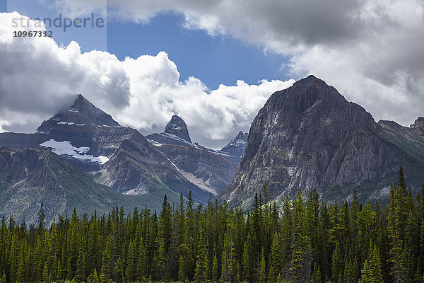 Bergblick entlang des Athabasca-Flusses  Highway 93  Icefield Parkway  Jasper National Park; Alberta  Kanada