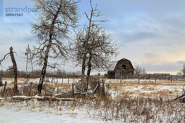 Alte Scheune auf einer verlassenen Farm; Alberta  Kanada'.