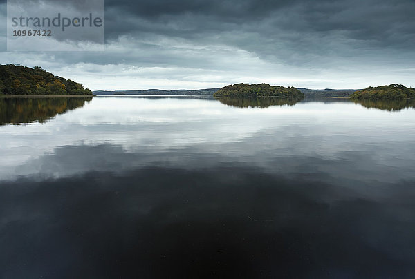 Lough Key Waldpark; Grafschaft Roscommon; Irland'.