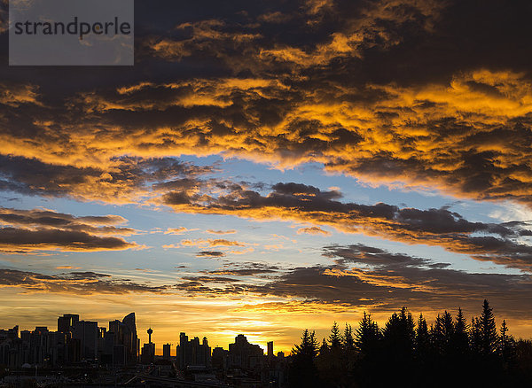 Dramatische bunte Wolken bei Sonnenaufgang mit Stadtbild und Baumsilhouette; Calgary  Alberta  Kanada'.