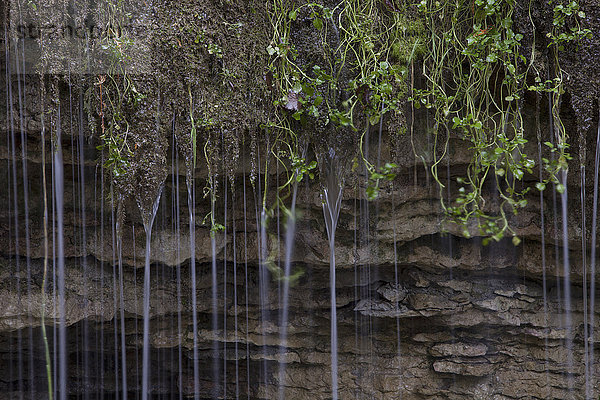 Kalkstein-Wasserfall  Silver Creek  Region Halton; Ontario  Kanada'.