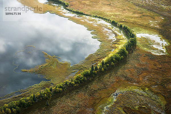 Luftaufnahme einer Wand aus Bäumen  die einen See und ein Feuchtgebiet im Kvichak River Drainagegebiet  Region Bristol Bay  Südwest-Alaska  voneinander trennen