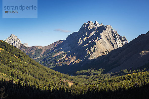 Berg mit zerklüfteten Gipfeln und bewaldetem Tal und blauem Himmel  Kananaskis Provincial Park; Alberta  Kanada'.
