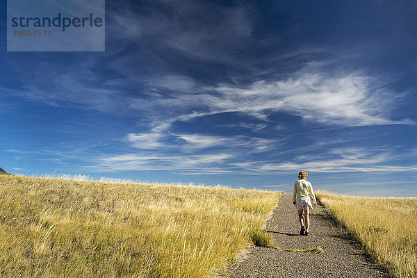 Wanderin  die einen hügeligen Pfad zwischen grasbewachsenen Feldern mit dramatischen Wolken und blauem Himmel hinaufsteigt; Waterton  Alberta  Kanada'.