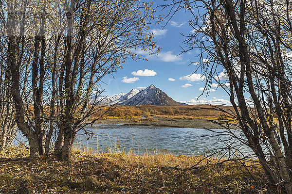 Blick auf den Sheep Mountain im Tombstone Territorial Park  Yukon Territory  Kanada  Herbst