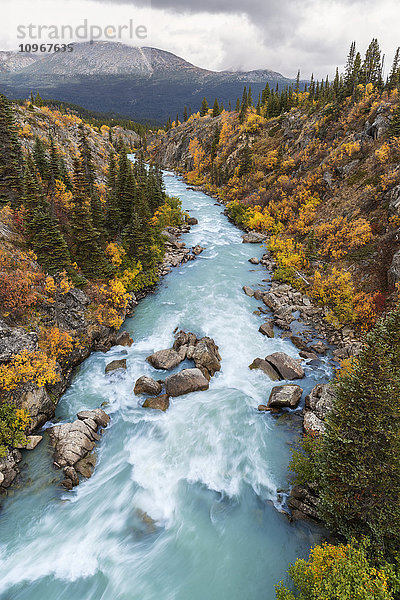 Der Canyon des Tutshi River von der Hängebrücke aus gesehen  British Columbia  Kanada  Herbst.