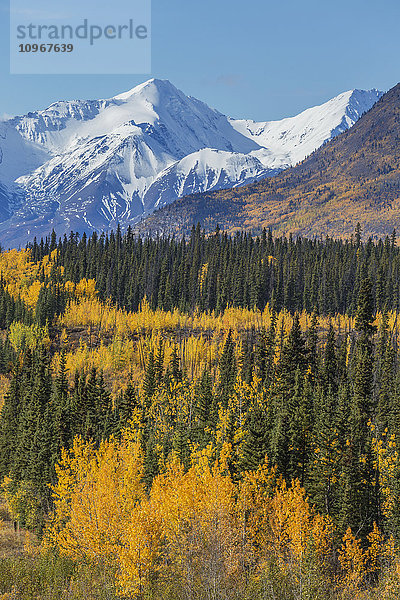 Herbstlandschaft entlang des Alaska Highway  Kluane National Park  St. Elias Mountains  Yukon Territory  Kanada