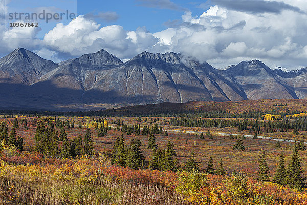 Herbstliche Landschaft entlang des Haines Highway in der Nähe von Nadahini Creek und Mt. Kelsall  Yukon Territory  Kanada