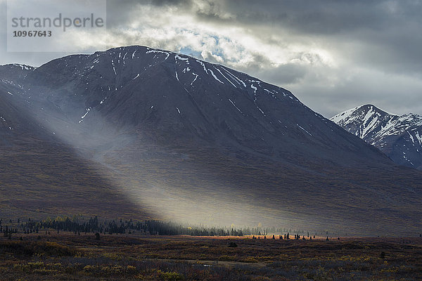 Lichtschacht beleuchtet bunte Tundra entlang des Haines Highway in der Nähe von Mule Creek  Alsek-Tatshenshini Wilderness  British Columbia  Kanada