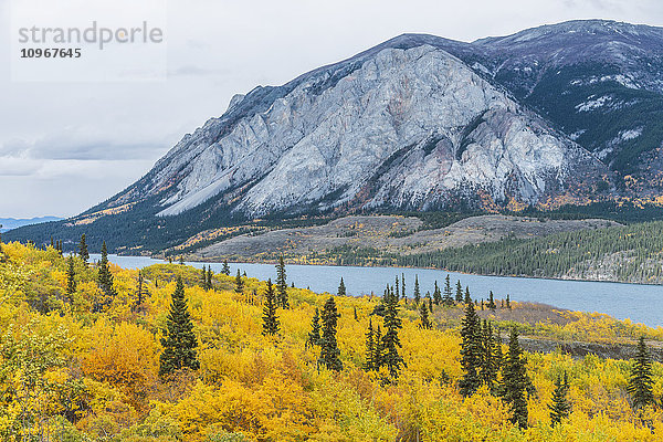 Herbstliche Aussicht auf den Tagish Lake in der Nähe des South Klondike Highway  Yukon Territory  Kanada