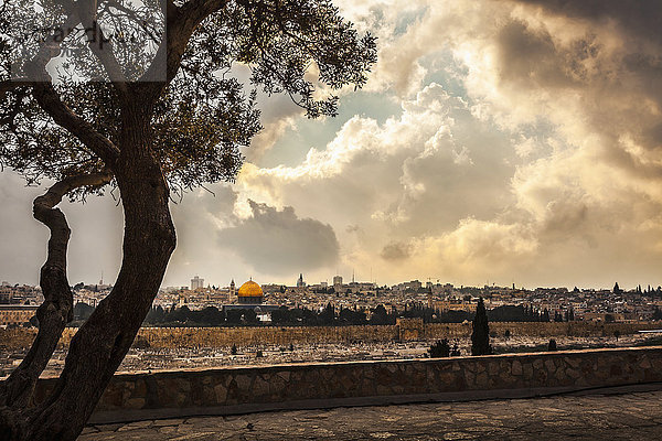 Der spektakuläre Blick vom Ölberg auf das Osttor der Altstadt von Jerusalem  aufgenommen von der Dominus-Flevit-Kirche (erbaut an der traditionellen Stelle  an der Jesus über die Stadt weinte); Jerusalem  Israel'.