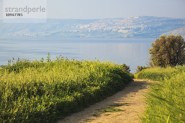 Ein mit hohem Gras gesäumter Weg mit Blick auf den ruhigen See Genezareth; Israel'.