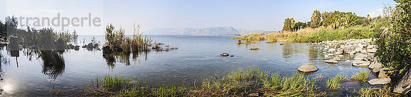 Ruhiger See Genezareth und Blick auf die Uferlinie; Galiläa  Israel