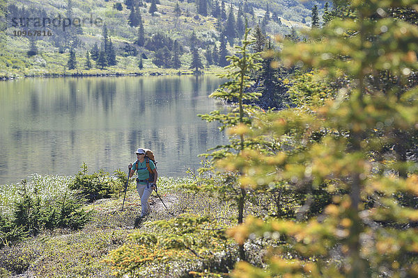Rucksacktouristin wandert entlang des Upper Fuller Lake im Kenai National Wildlife Refuge auf der Kenai-Halbinsel in Süd-Zentral-Alaska