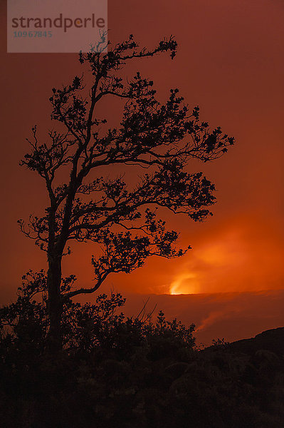 Das Glühen von Pele leuchtet nachts durch die Wolken in der Kilauea Caldera und im Halemaumau-Krater im Hawaii Volcanoes National Park; Insel Hawaii  Hawaii  Vereinigte Staaten von Amerika'.