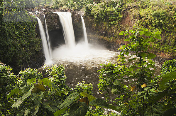 Rainbow Falls; Hilo  Insel Hawaii  Hawaii  Vereinigte Staaten von Amerika'.