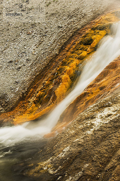 Wasser fließt aus einer heißen Quelle im Norris Geyser Basin im Yellowstone National Park; Wyoming  Vereinigte Staaten von Amerika'.