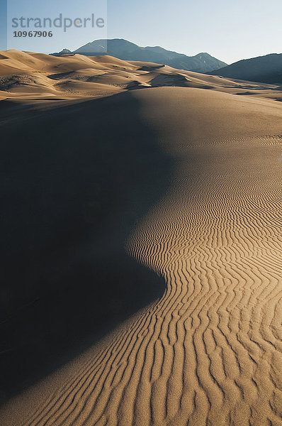 Morgenlicht erzeugt Kontraste auf Sanddünen im Great Sand Dunes National Park and Preserve; Colorado  Vereinigte Staaten von Amerika'.