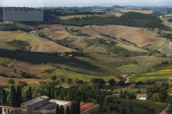 Ackerland auf sanften Hügeln; Montepulciano  Toskana  Italien'.