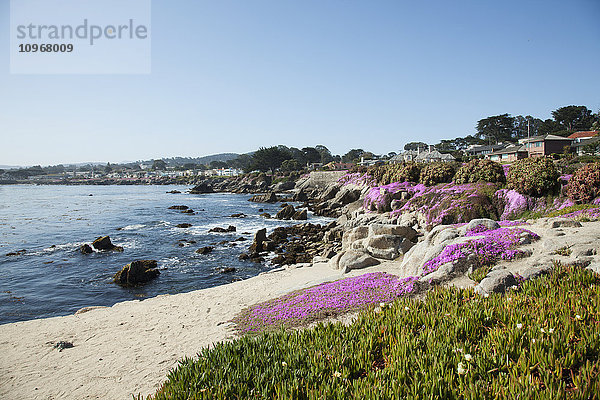 Häuser an der Küste von Kalifornien; Monterey  Kalifornien  Vereinigte Staaten von Amerika'.
