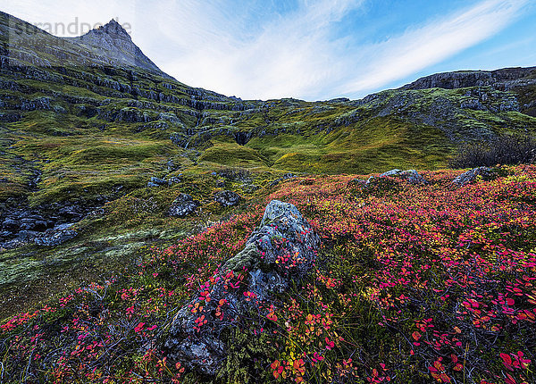 Das Tal im Fjord namens Mjoifjordur an der Ostküste Islands; Island