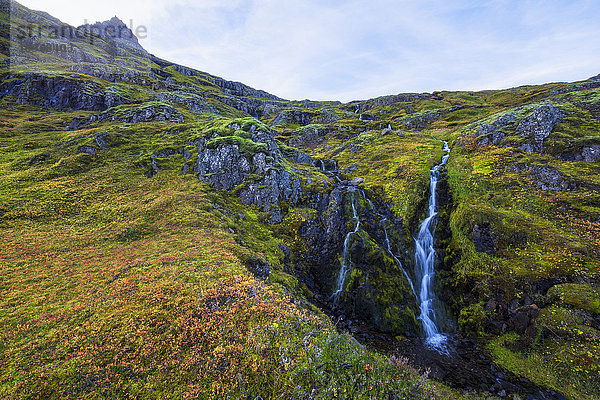 Ein kleiner Wasserfall stürzt den Berghang in einem der östlichen Fjorde Islands hinab; Island'