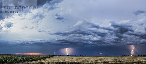 Gewitterwolken und Blitzeinschläge über einer ländlichen Landschaft; Thunder Bay  Ontario  Kanada