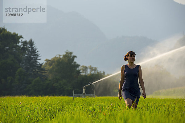 Eine Frau geht durch ein üppiges grünes Feld  während hinter ihr ein Rasensprenger sprüht; Ascona  Tessin  Schweiz'.