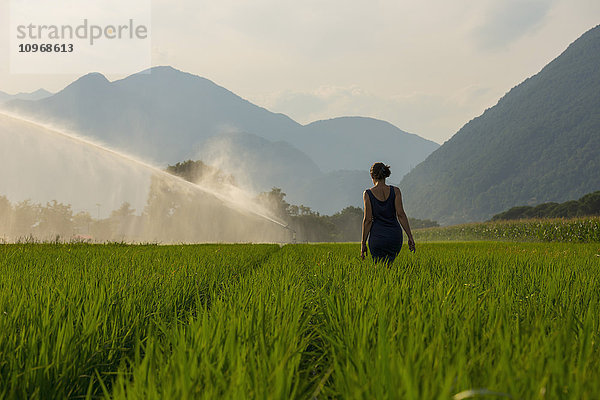 Eine Frau geht durch ein üppiges grünes Feld mit einem Sprinkler; Ascona  Tessin  Schweiz'.