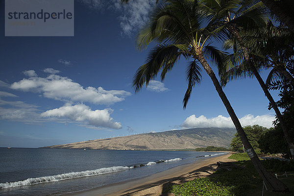 Zuckerstrand  Kokospalmen  Maalia und West Maui Mountains in der Ferne; Maui  Hawaii  Vereinigte Staaten von Amerika'.