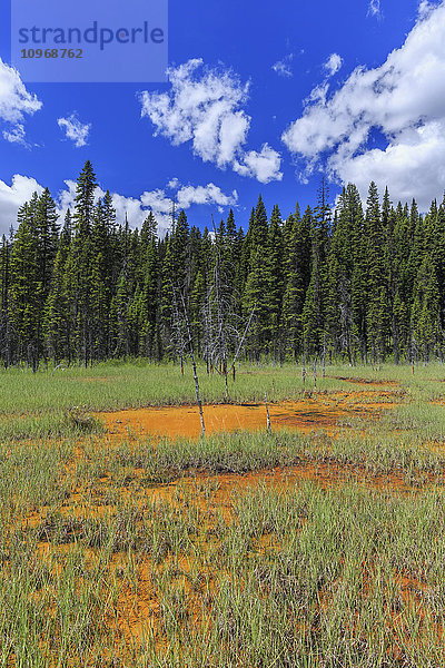 Ockerfarbene Farbtöpfe  Kootenay National Park; British Columbia  Kanada'.