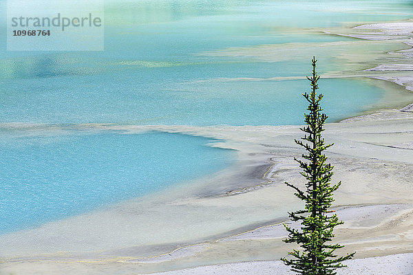 Gletscherschlick am Delta des Lake Louise  gebildet durch das türkisfarbene Gletscherschmelzwasser  Banff National Park; Alberta  Kanada'.
