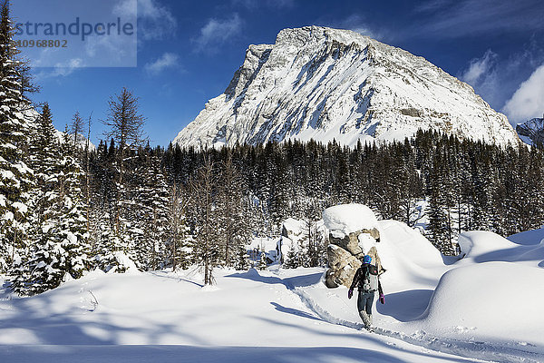 Schneeschuhwanderin auf Schneepiste mit schneebedeckten Bäumen und schneebedeckten Bergen im Hintergrund mit blauem Himmel; Kananaskis Country  Alberta  Kanada'.