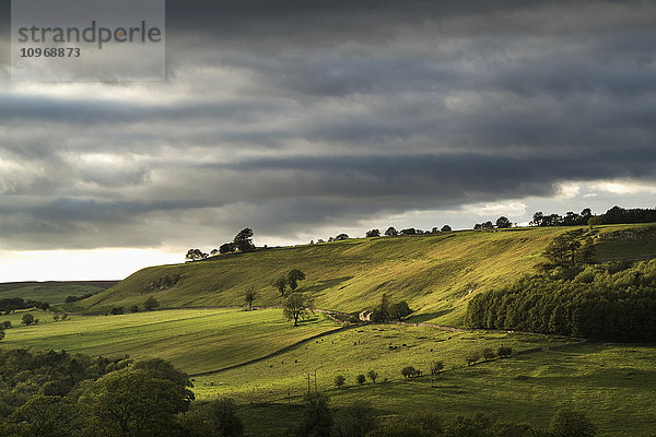 Grüne Felder auf sanften Hügeln unter einem bewölkten Himmel; Yorkshire Dales  England'.