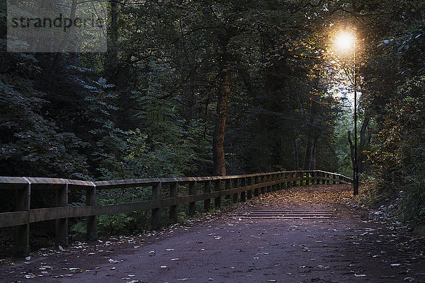 Wanderweg  beleuchtet von einem Laternenpfahl in der Abenddämmerung; Newcastle  Tyne and Wear  England