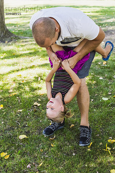 Ein Vater hängt seine Tochter während eines Familienausflugs in einem Park kopfüber auf und spielt mit ihr; Edmonton  Alberta  Kanada'.