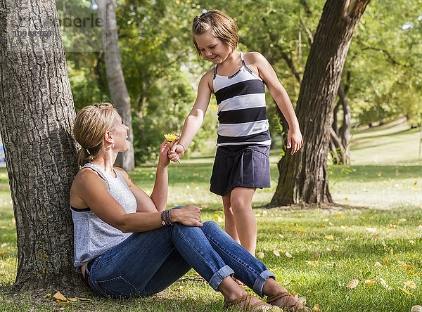 Mutter erhält eine Blume von ihrer Tochter  während sie während eines Familienausflugs Zeit in einem Park verbringt; Edmonton  Alberta  Kanada'.